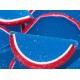  Large Gourmet Fruit Slices Blue Raspberries-1lb