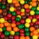 Sixlets Assorted-4lbs