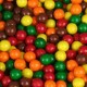 Sixlets Assorted-1lb