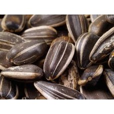Sunflower Seeds In Shell Roasted Unsalted-1lb