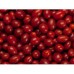 Boston Beaked Beans -1lb