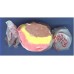 Salt Water Taffy Banana Split-1lb