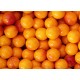 Gumballs Peaches'n Cream 25mm or 1 inch ( 57 counts )-1lb
